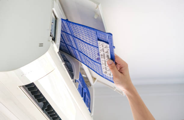 Best Ductwork Cleaning Services  in Minneola, FL
